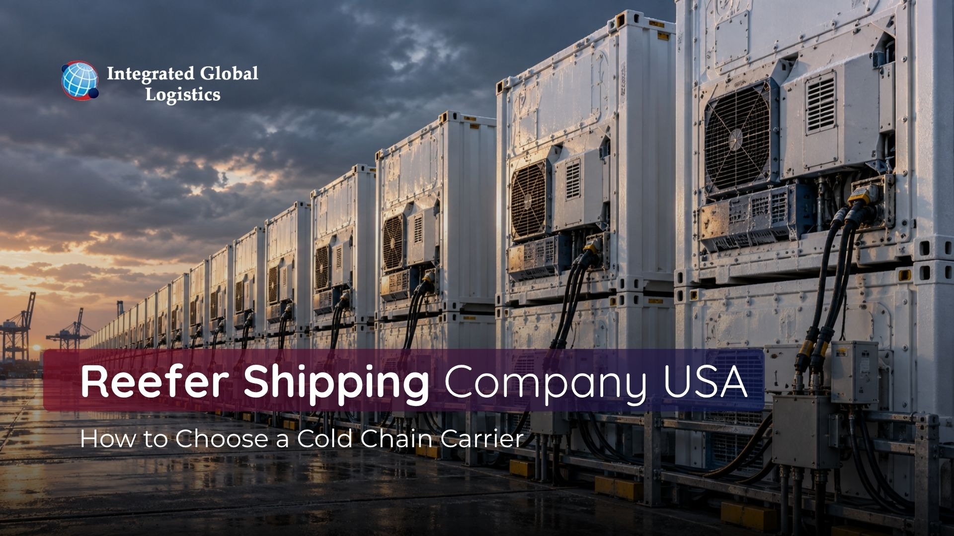 Reefer Shipping Company USA: How to Choose a Cold Chain Carrier